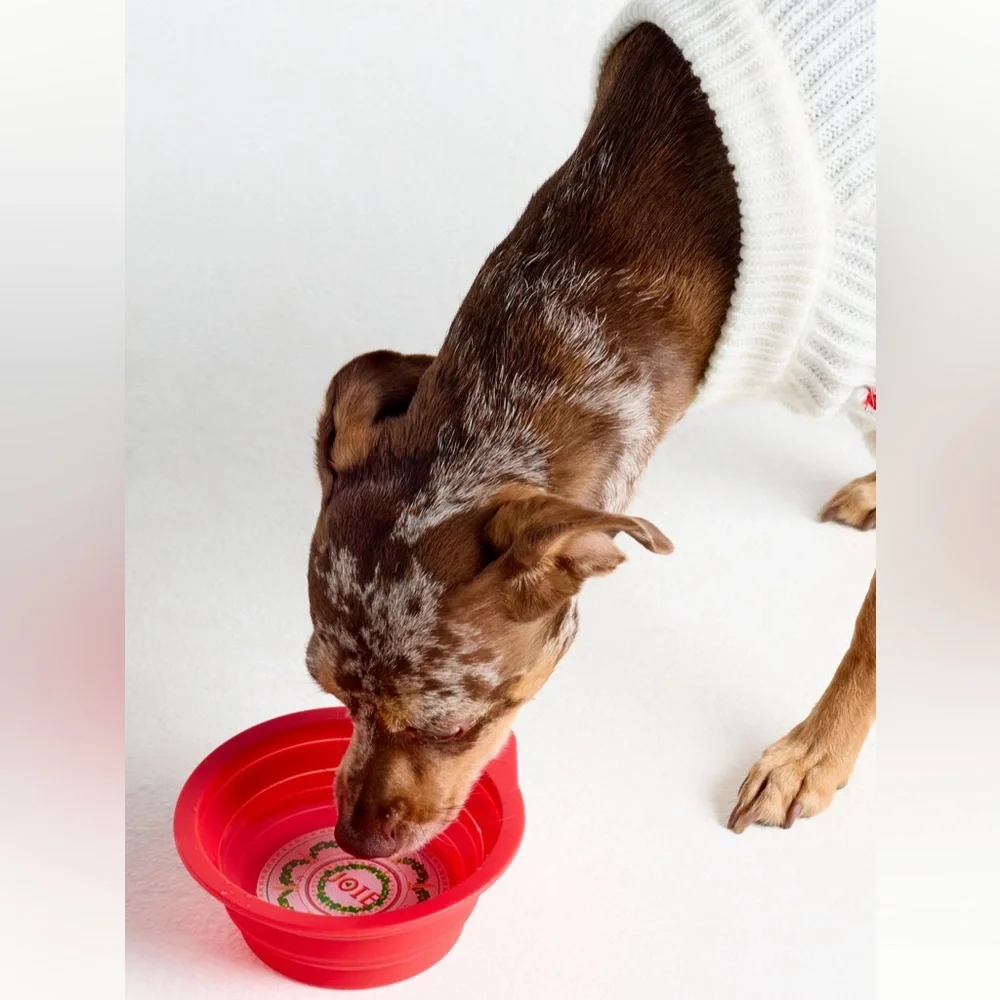 Anthropologie The Bistro Tile Holiday Pet Bowl | Red | NWT